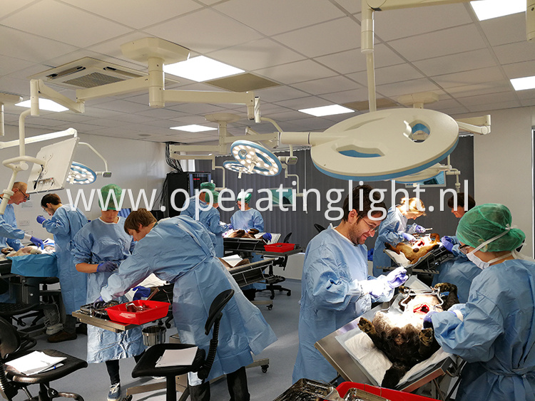 Led Surgical Light